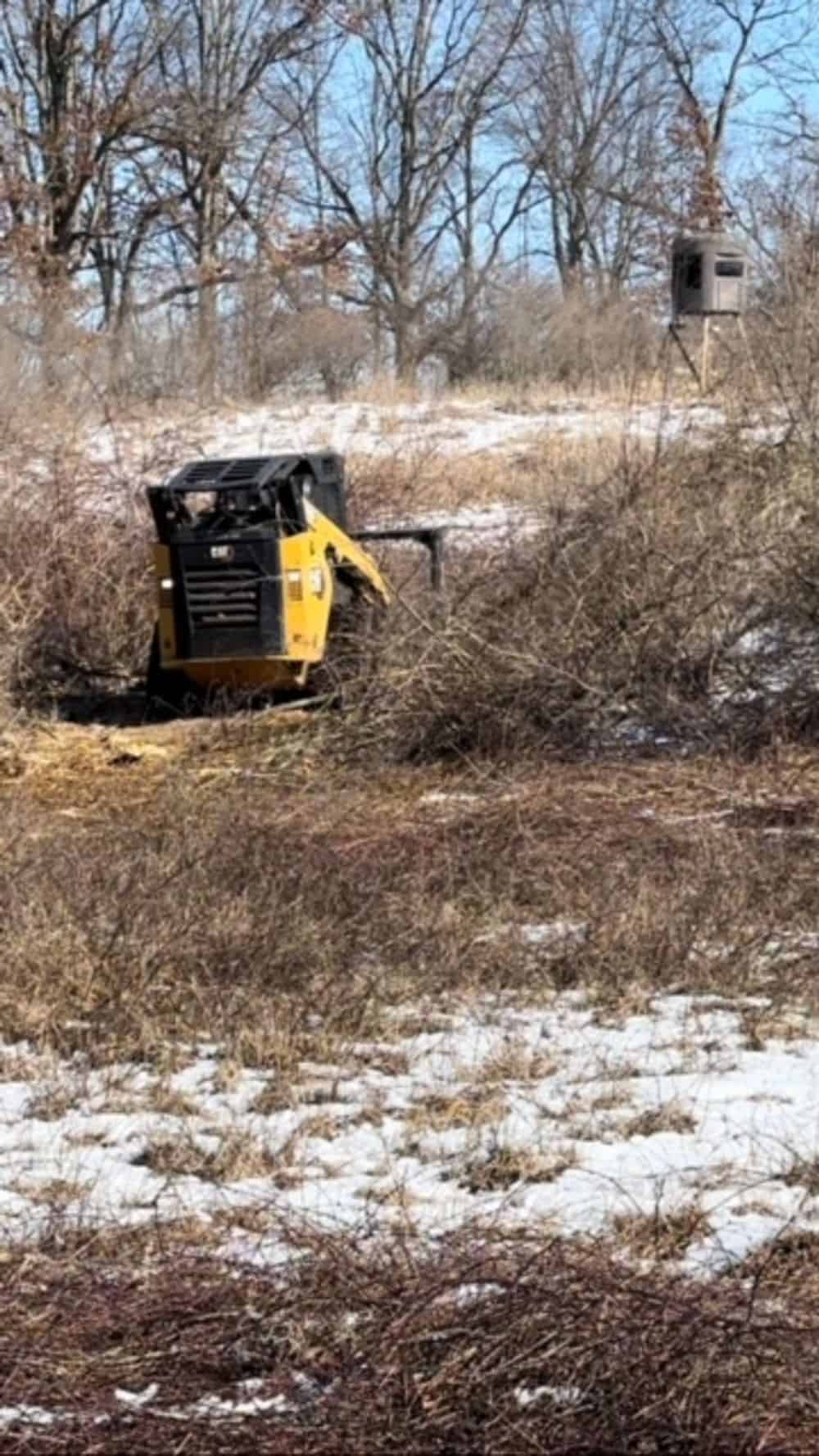 Wildlife Habitat Development image