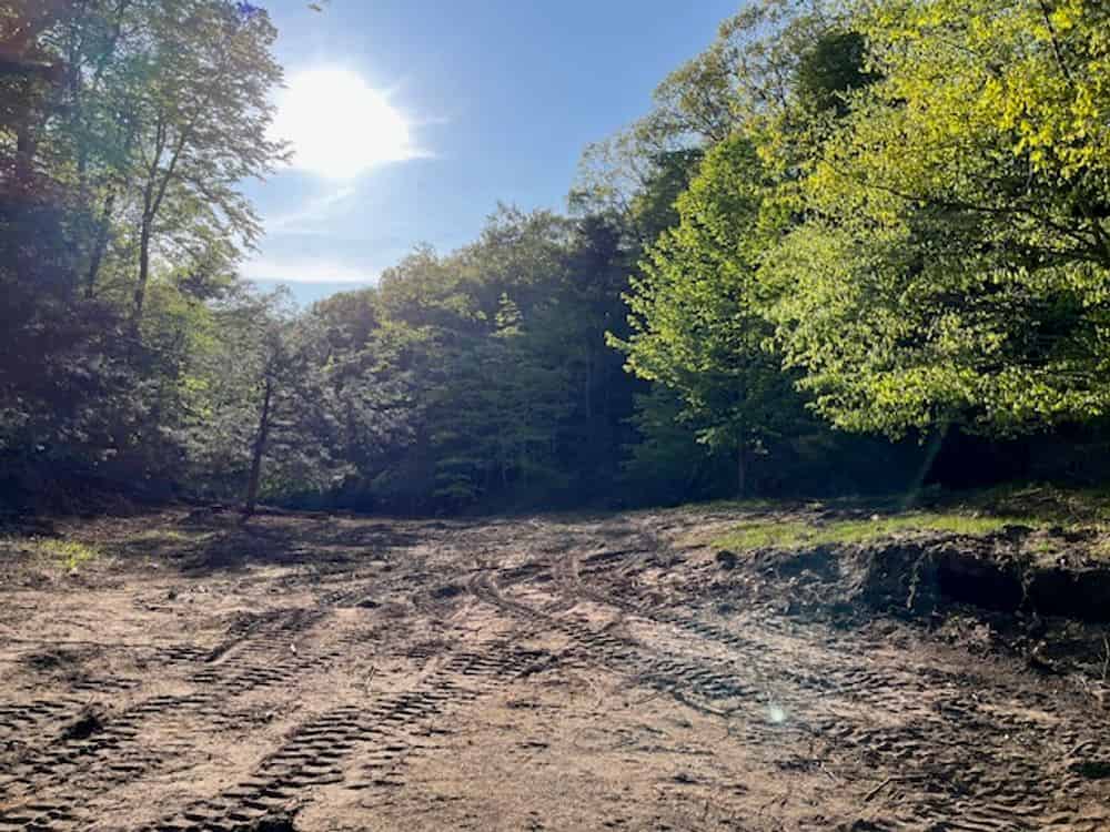 Land Management Consultation image