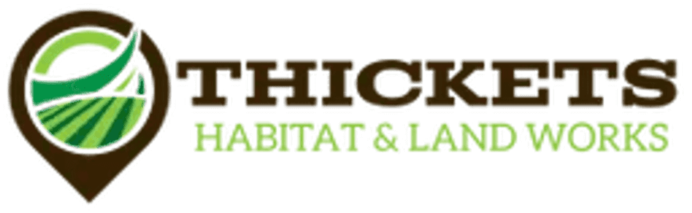 Post Logging Cleanup image