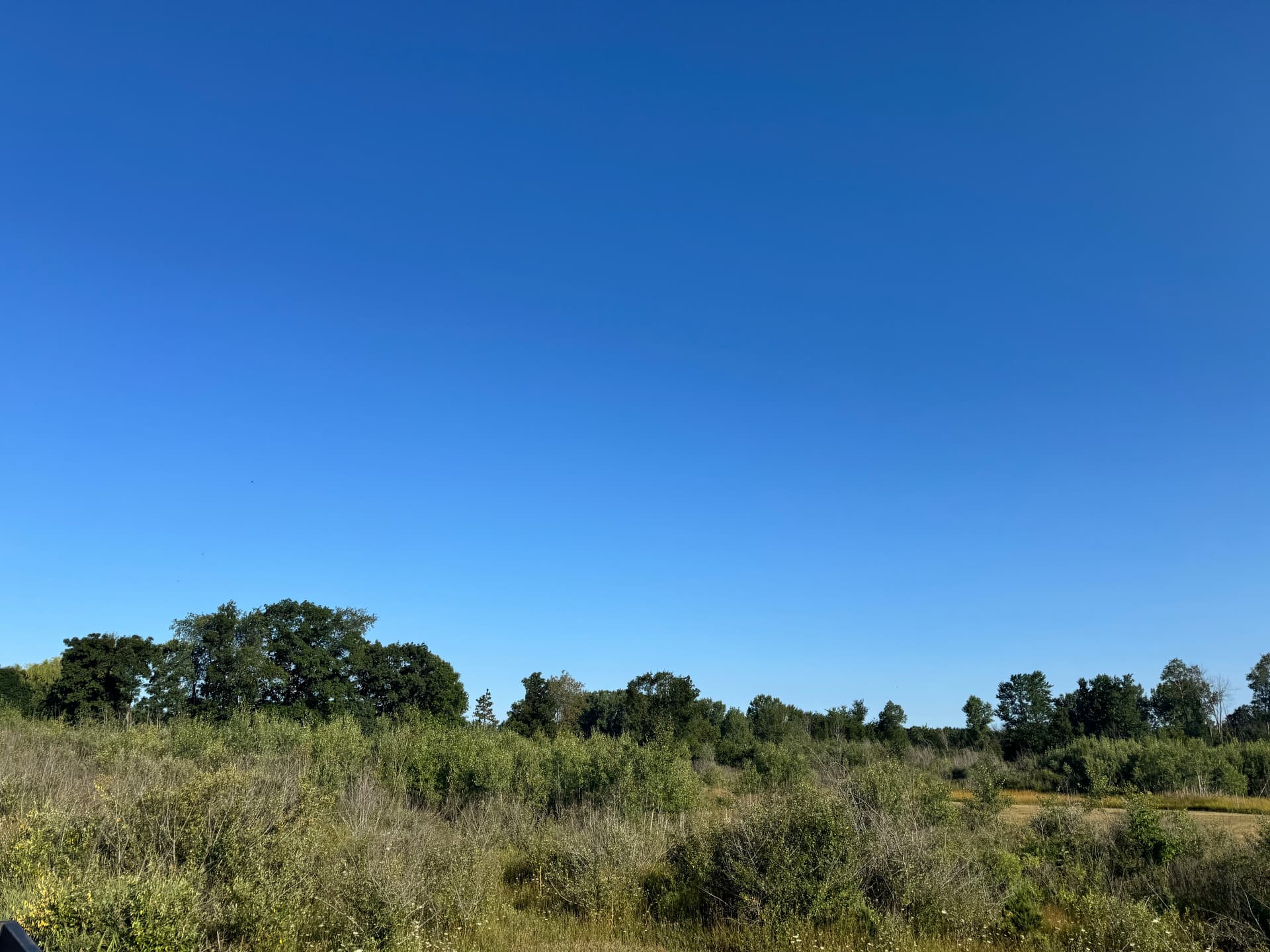 10-Acre Airport Land Clearing in Alma, Michigan image