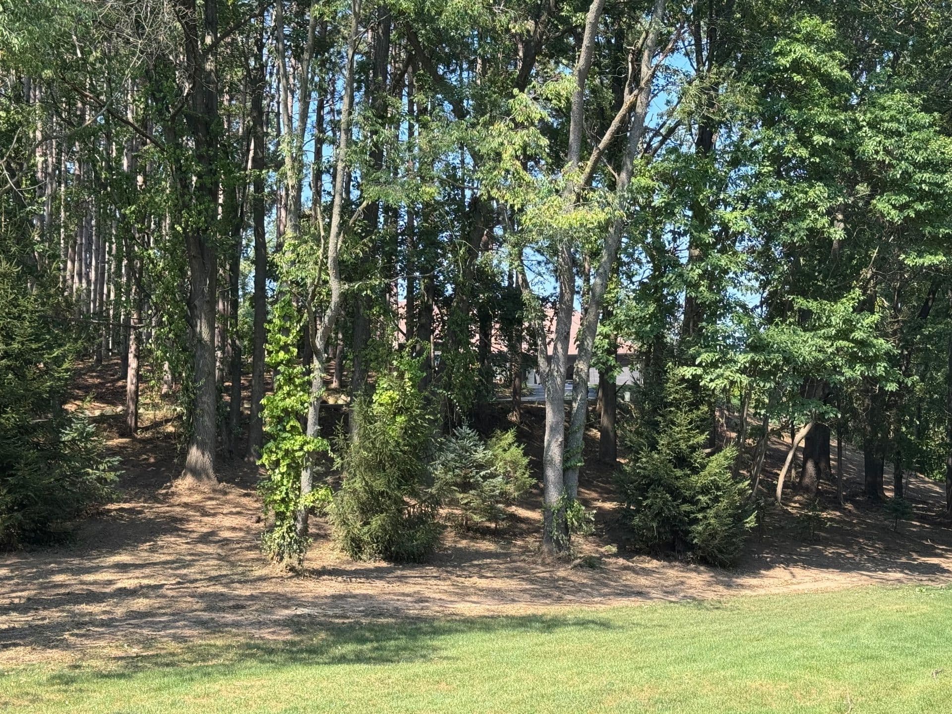 Project Transforming Landscapes Across Michigan Regions image