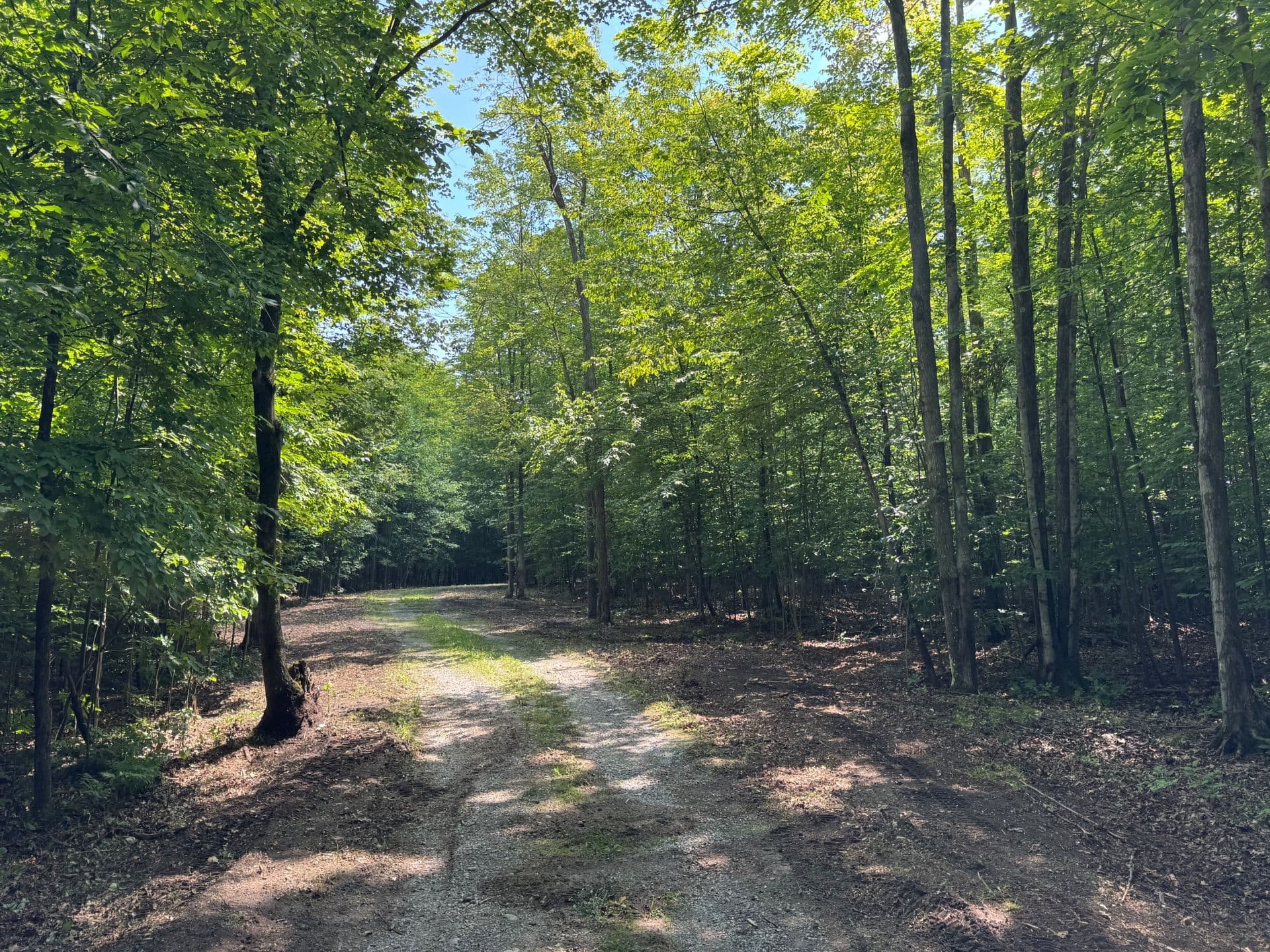 Gallery photos for Transforming Landscapes Across Michigan Regions: Image #2