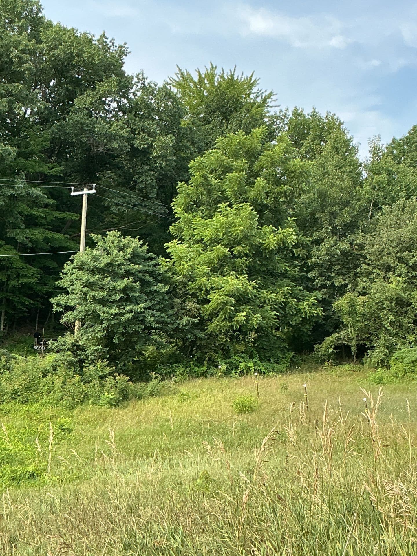 Farm Restoration Brings New Life to Rural Escape image