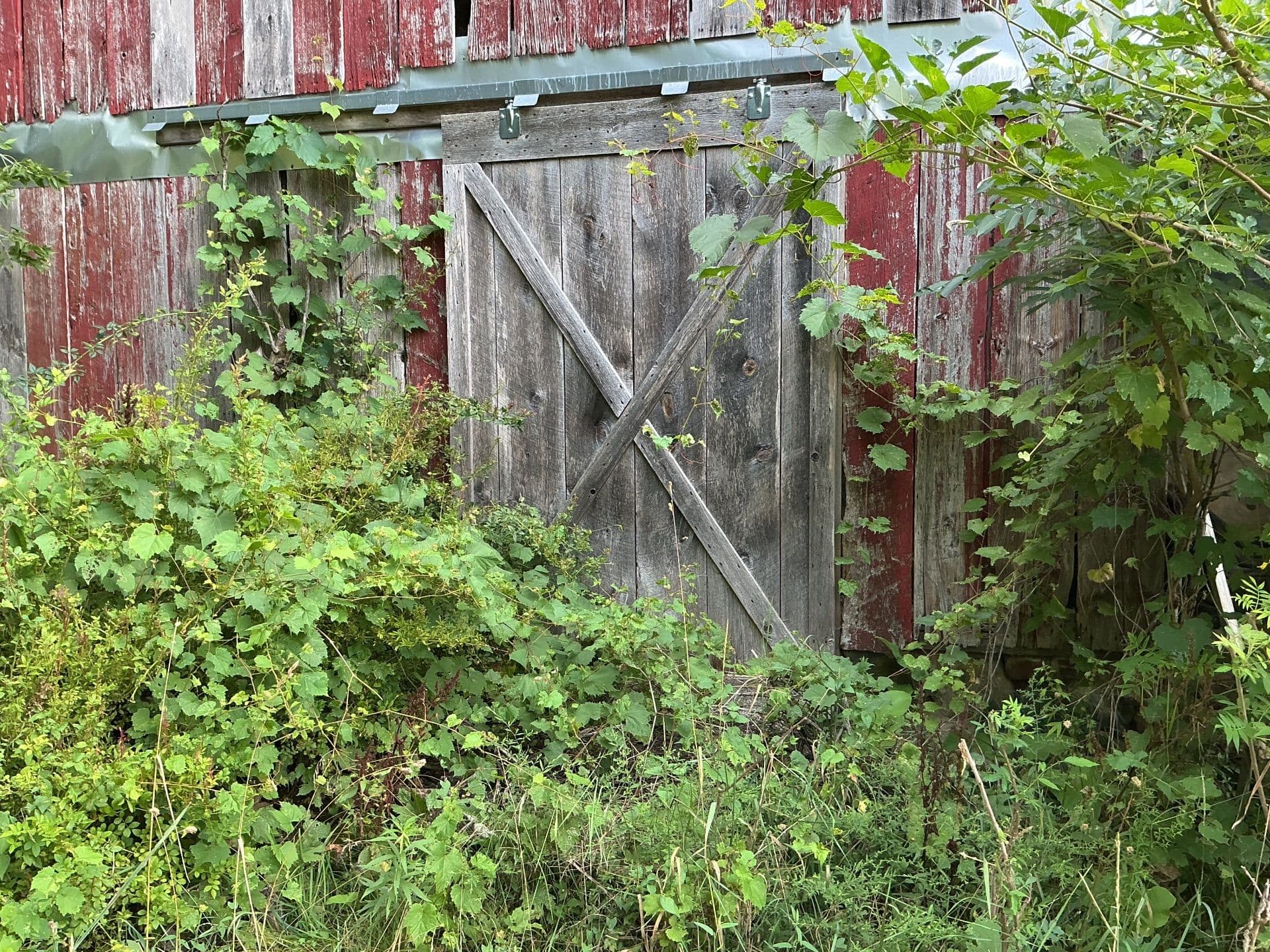 Gallery photos for Farm Restoration Brings New Life to Rural Escape: Image #5