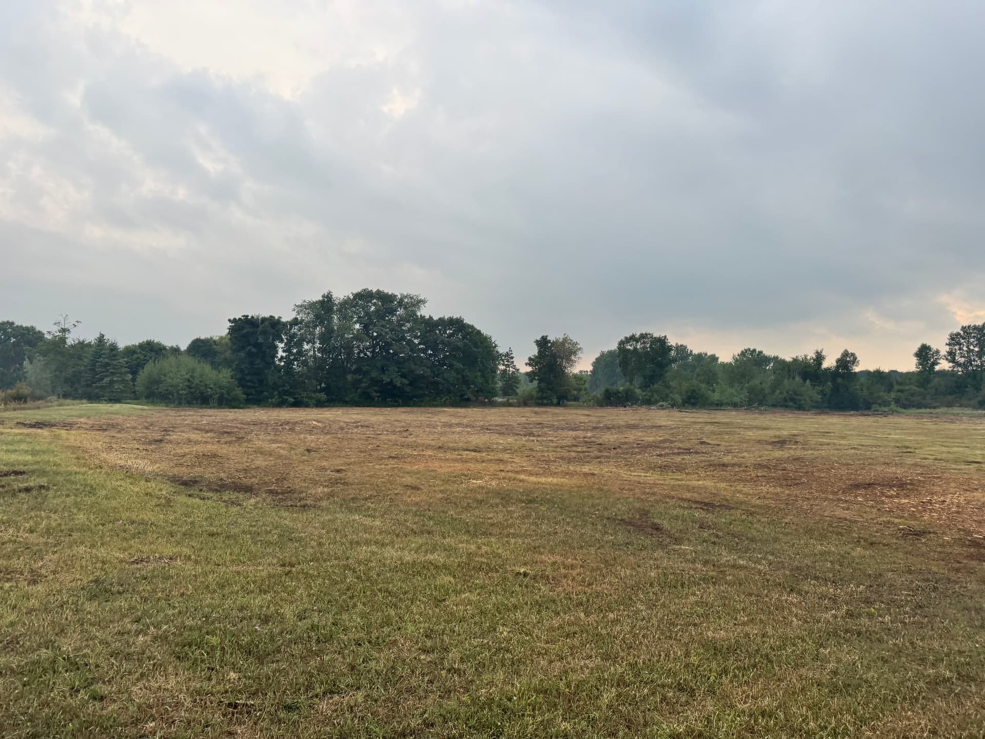 Gallery photos for 10-Acre Airport Land Clearing in Alma, Michigan: Image #3