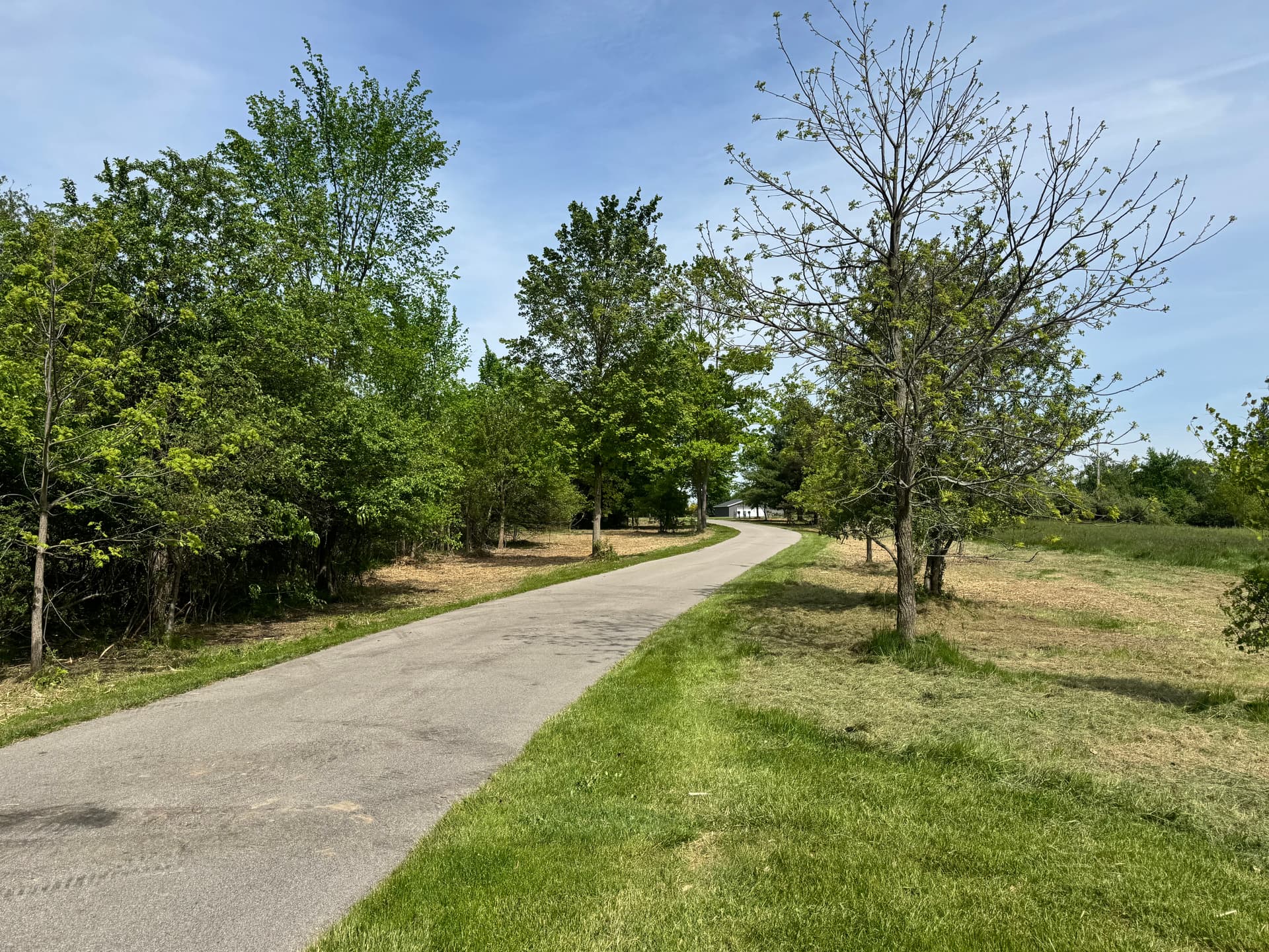 Gallery photos for Overgrown Driveway Corridor Cleared to a Clean Park-Like Setting in Marne Michigan: Image #2