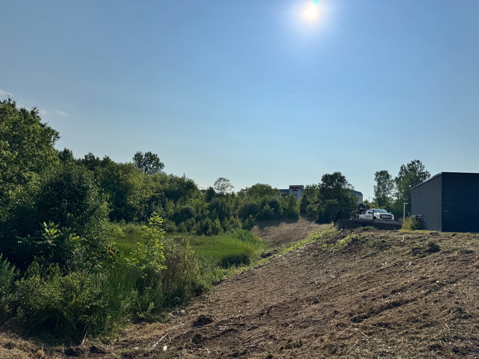 Gallery photos for Steep Bank Land Clearing on a Commercial Site in Grand Rapids: Image #3