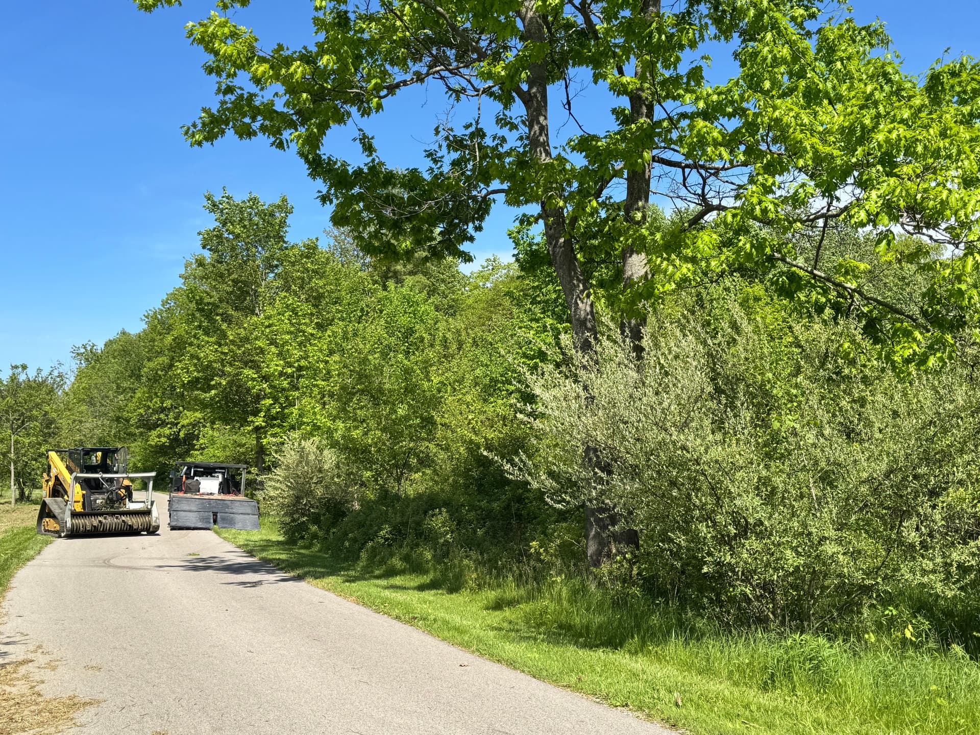 Gallery photos for Overgrown Driveway Corridor Cleared to a Clean Park-Like Setting in Marne Michigan: Image #1