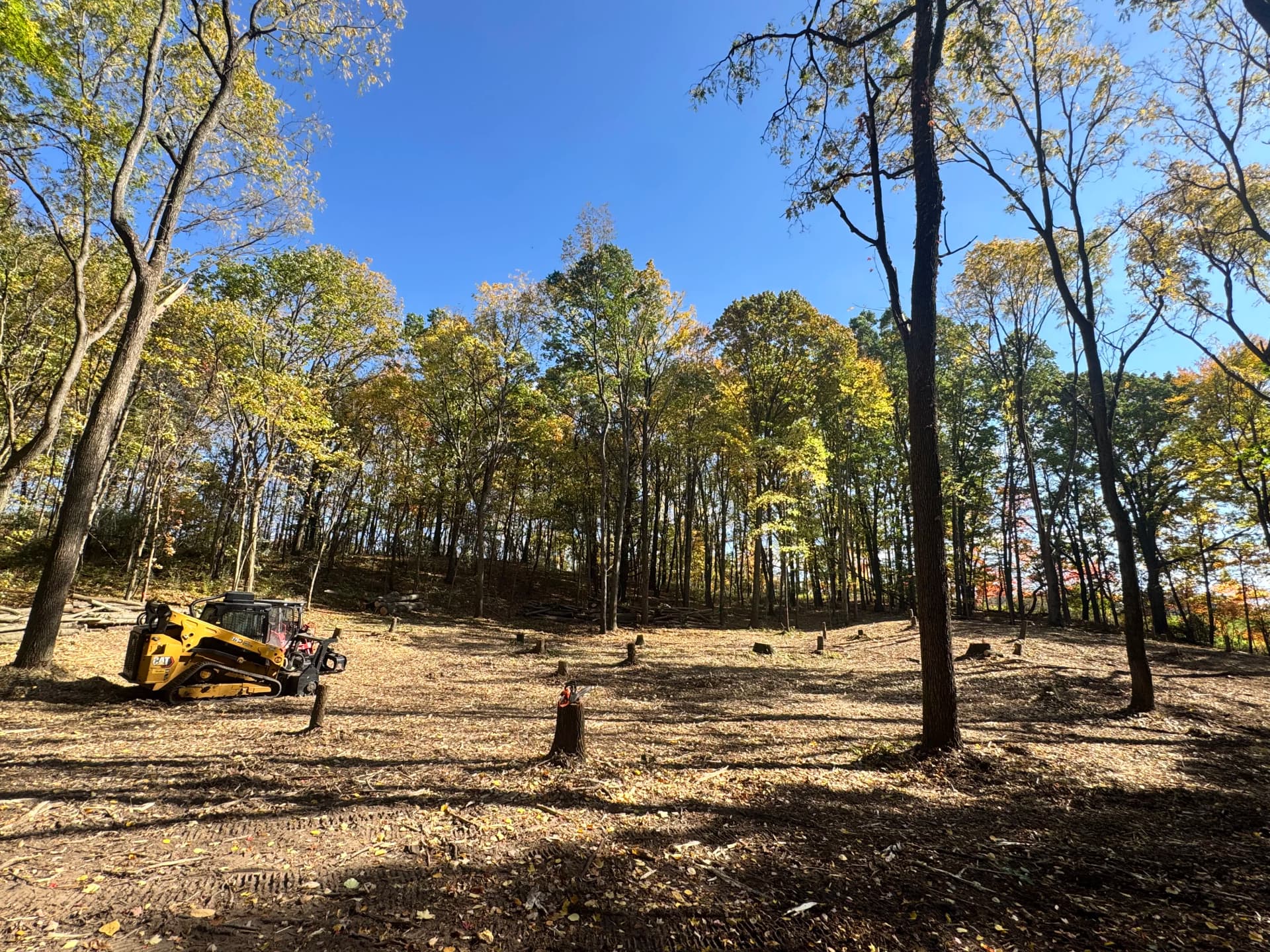 Gallery photos for NRCS Wildlife Regeneration Land Clearing Project Underway: Image #2