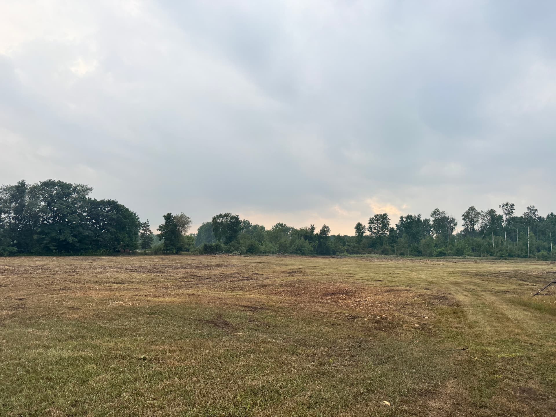 Gallery photos for 10-Acre Airport Land Clearing in Alma, Michigan: Image #2