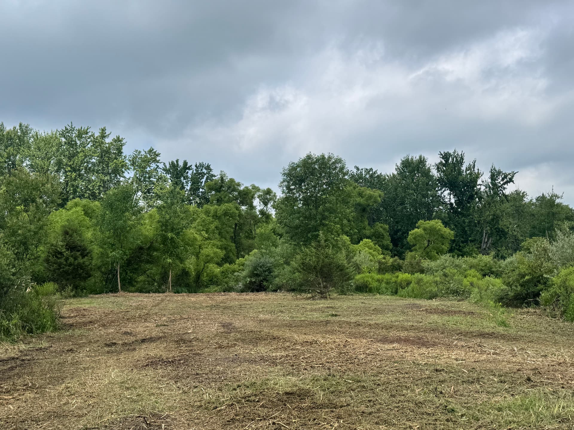 Gallery photos for Deer Habitat Development and Land Clearing in Fenwick: Image #2
