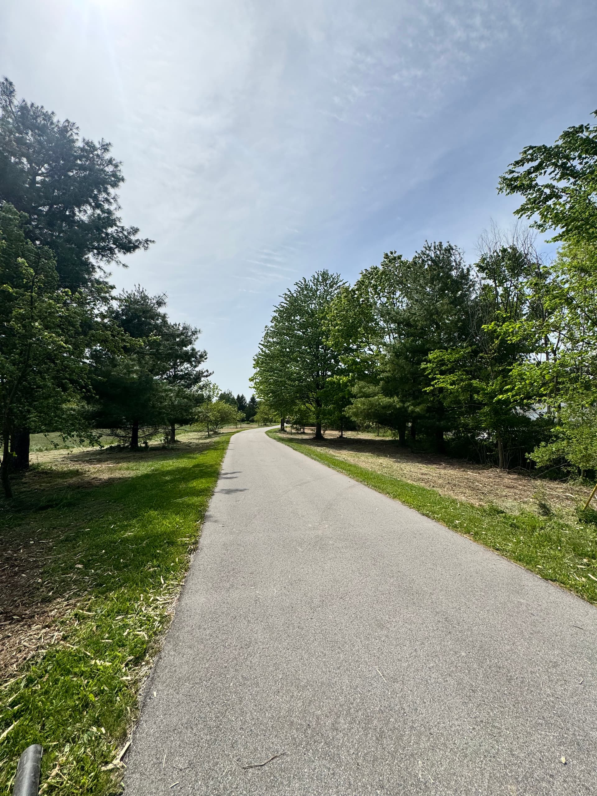 Gallery photos for Overgrown Driveway Corridor Cleared to a Clean Park-Like Setting in Marne Michigan: Image #3