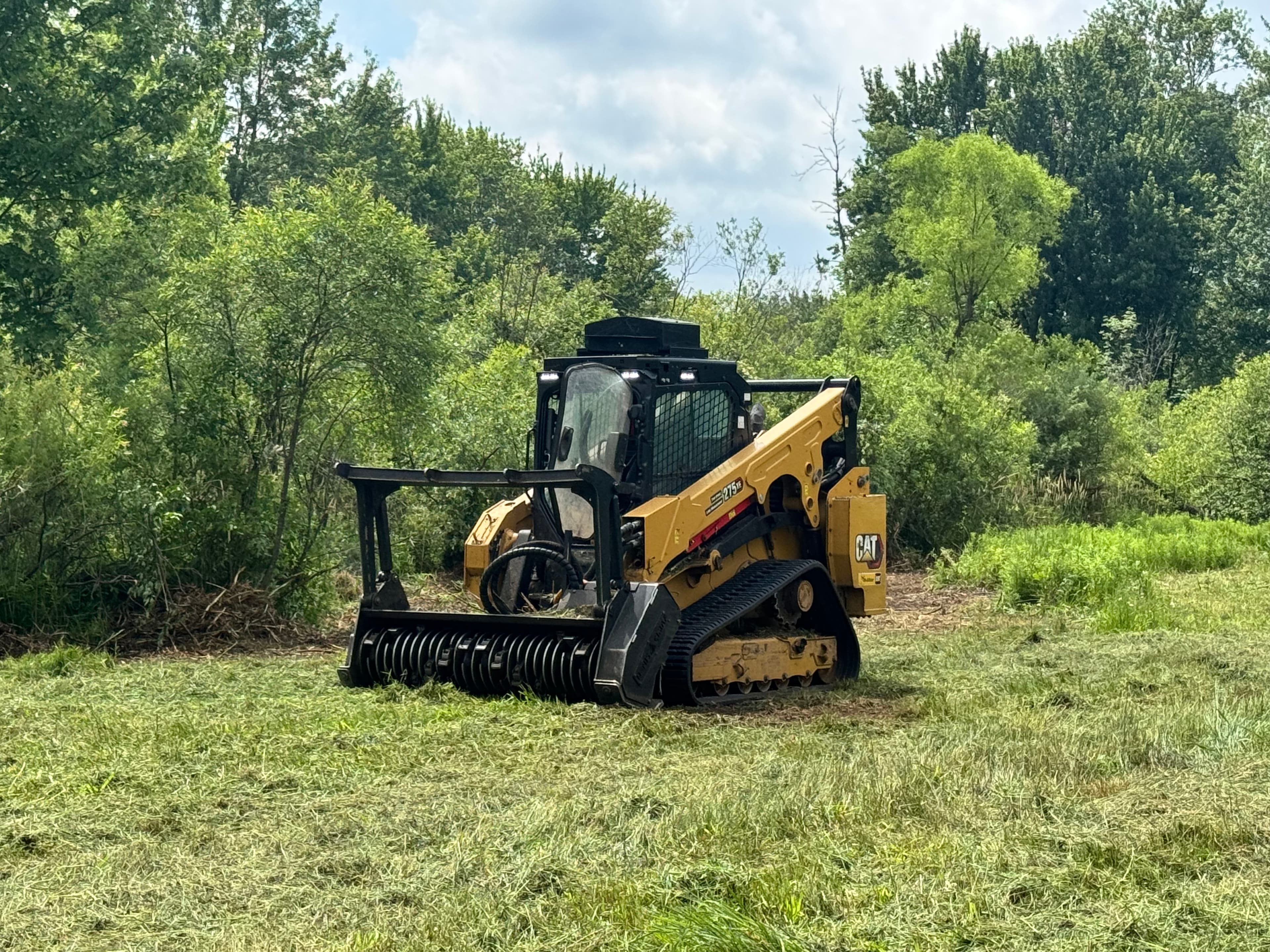 Project Deer Habitat Development and Land Clearing in Fenwick image