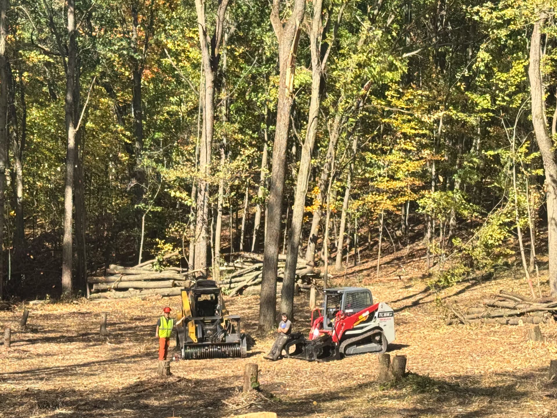 Gallery photos for NRCS Wildlife Regeneration Land Clearing Project Underway: Image #3