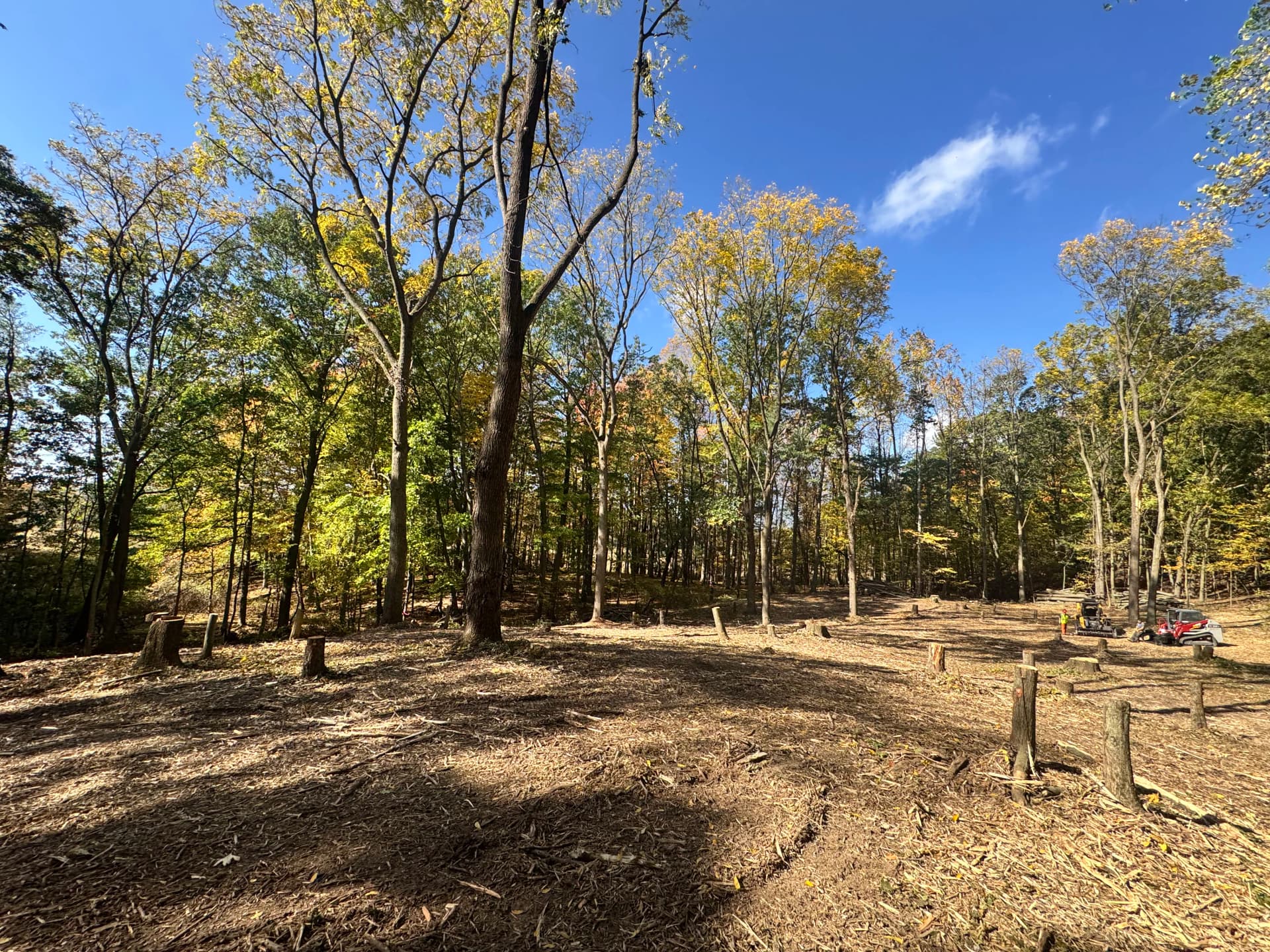 Gallery photos for NRCS Wildlife Regeneration Land Clearing Project Underway: Image #1