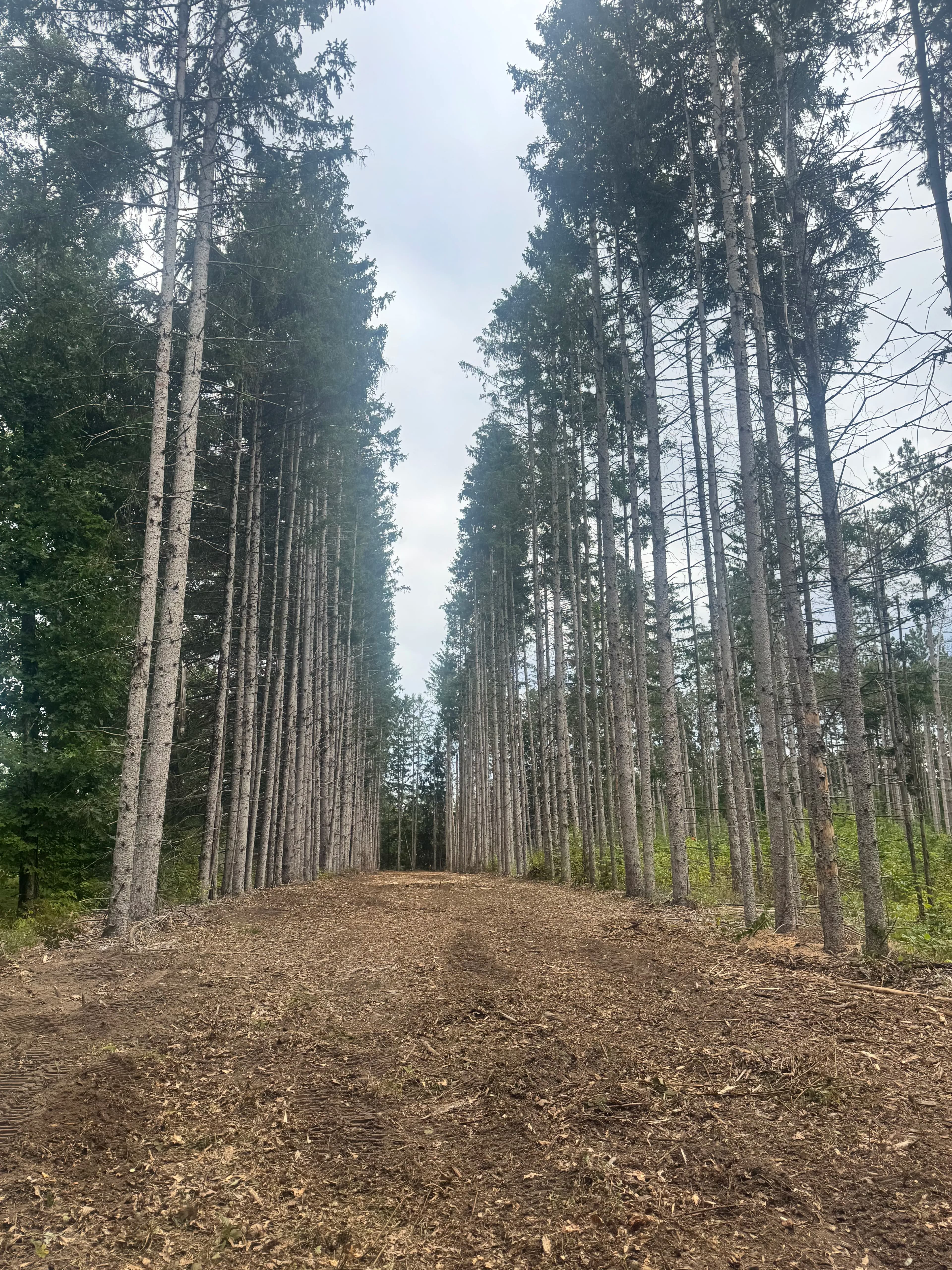 Project Shaping a West Michigan Property Into Something Special image