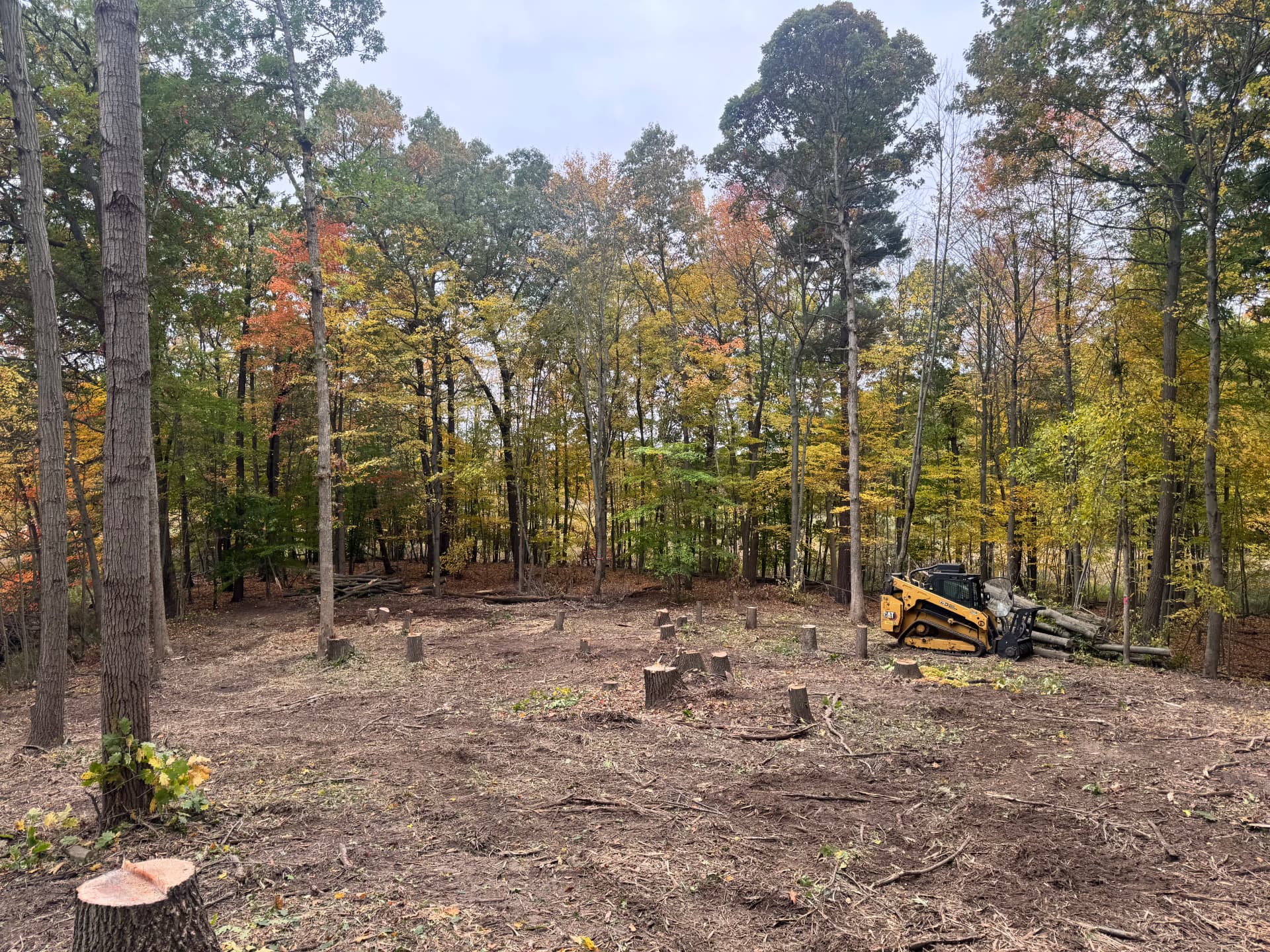 NRCS Wildlife Regeneration Land Clearing Project Underway image