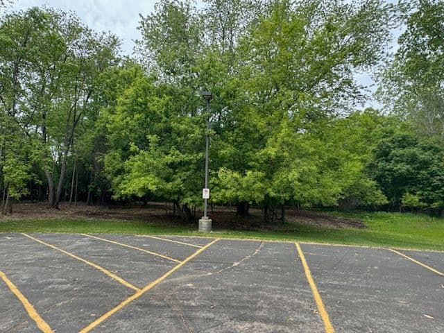 Elevate Your Commercial Space with Thickets Habitat image