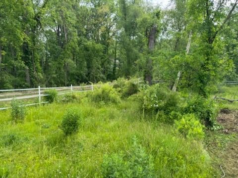 Transforming Lowell Hobby Farm for Horses