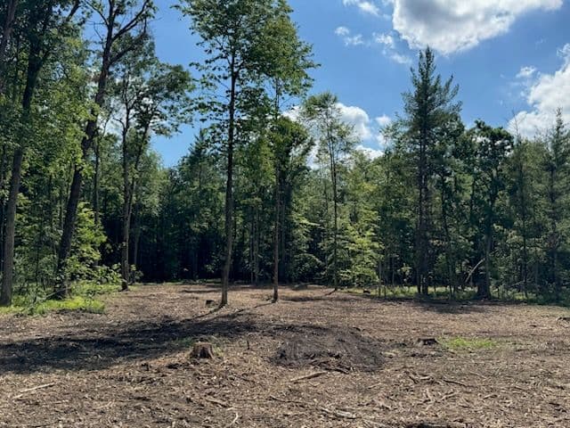 Restoring Newaygo and Reed City Forests image