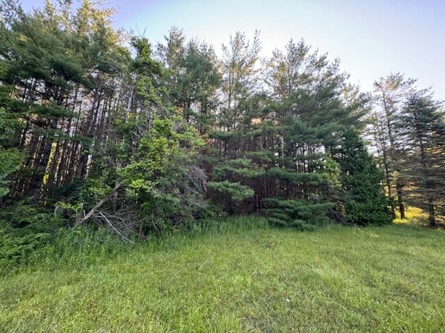 Gallery photos for Nature Restoration in Cheboygan Michigan: Image #3