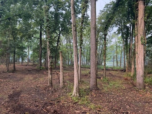 Transforming Land for Beautiful River Views