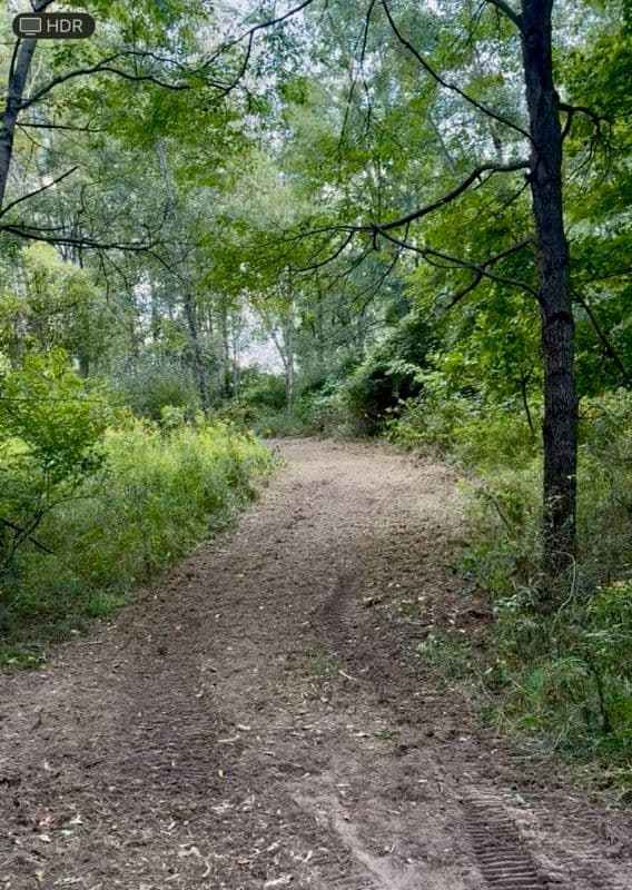 Project Transforming Hillside into a Nature-Packed Oasis image