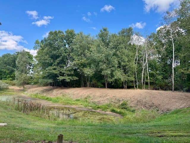 Gallery photos for Transforming Hillside into a Nature-Packed Oasis: Image #2