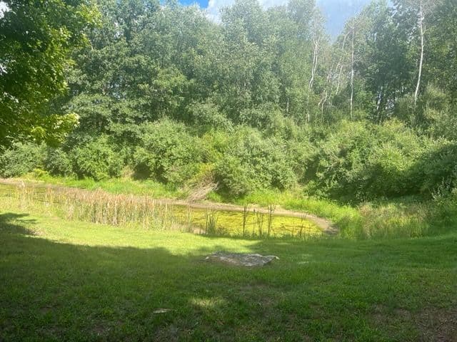 Gallery photos for Transforming Hillside into a Nature-Packed Oasis: Image #3