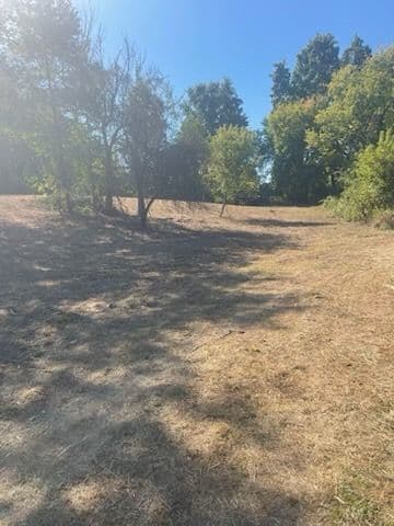 Project Transforming Overgrown Thickets for a Fresh Start image