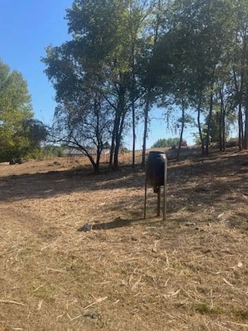 Gallery photos for Transforming Overgrown Thickets for a Fresh Start: Image #1