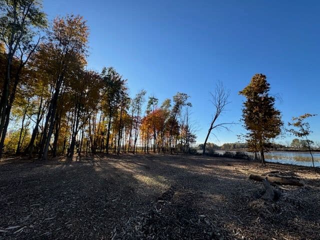 Project Enjoying the Beauty of Fall with Fresh Starts image