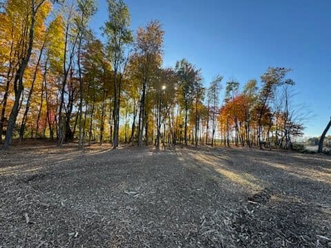 Gallery photos for Enjoying the Beauty of Fall with Fresh Starts: Image #1