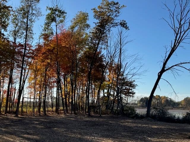 Gallery photos for Enjoying the Beauty of Fall with Fresh Starts: Image #2