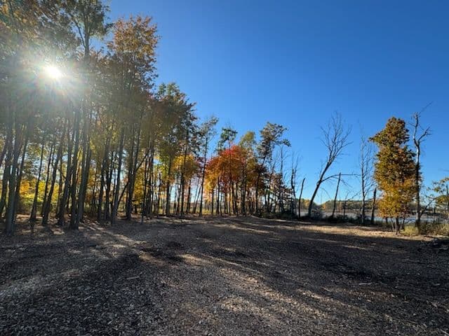 Gallery photos for Enjoying the Beauty of Fall with Fresh Starts: Image #3