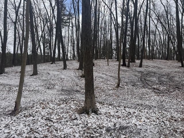 Project Crafting Park-Like Scenery with Expert Land Management image