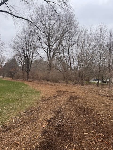 Gallery photos for Transforming Green Spaces in Rockford MI: Image #1