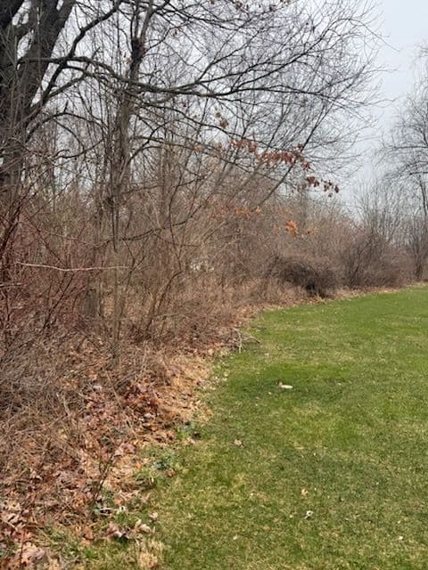 Gallery photos for Transforming Green Spaces in Rockford MI: Image #2