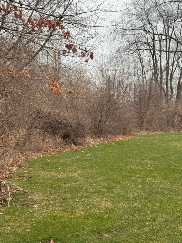 Gallery photos for Transforming Green Spaces in Rockford MI: Image #3