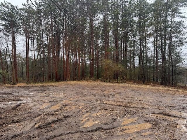 Project Hilltop Land Clearing for New Homeowners Starting Fresh image