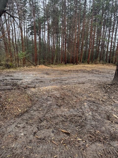 Gallery photos for Hilltop Land Clearing for New Homeowners Starting Fresh: Image #1