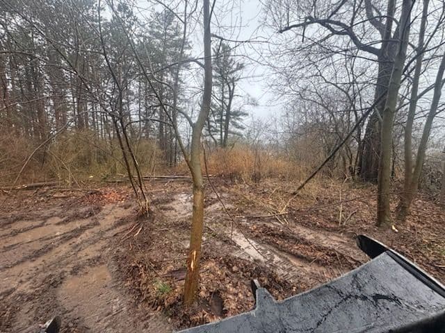 Gallery photos for Hilltop Land Clearing for New Homeowners Starting Fresh: Image #3