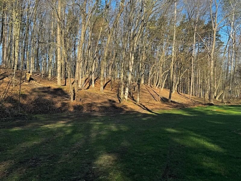 Gallery photos for Storm Uprooted a Big Tree - We Got the Backyard Back: Image #1