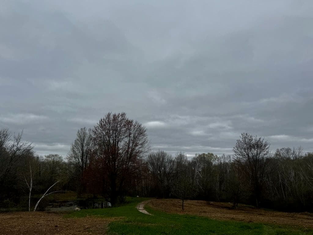 Land Clearing for a Motocross Track in Rodney image