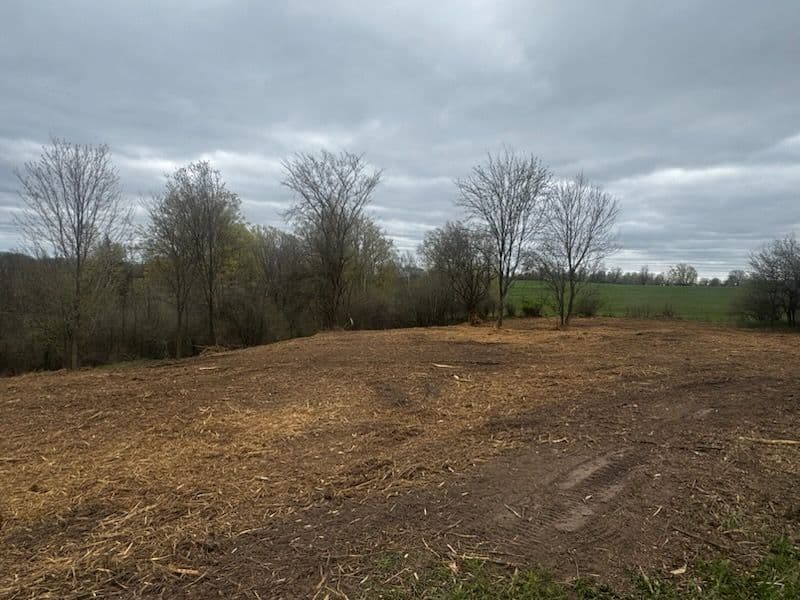 Gallery photos for Land Clearing for a Motocross Track in Rodney: Image #1