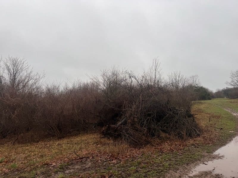 Gallery photos for Land Clearing for a Motocross Track in Rodney: Image #2