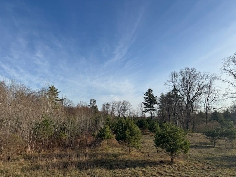 Sustainable Land Clearing for Chase Michigan Barndominium