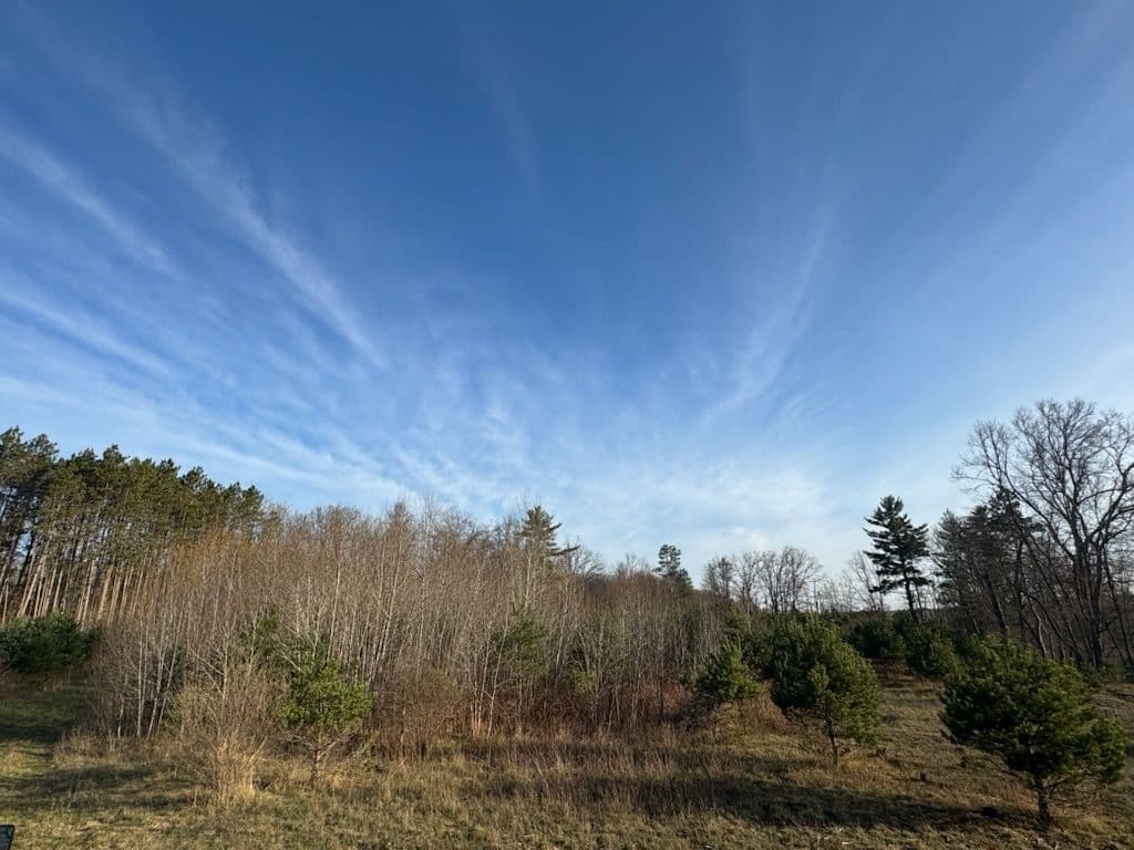Sustainable Land Clearing for Chase Michigan Barndominium