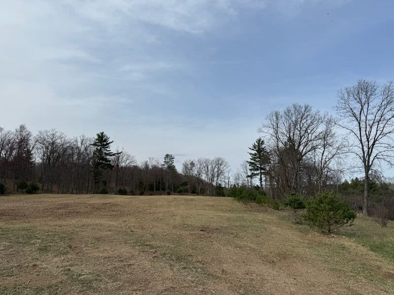 Sustainable Land Clearing for Chase Michigan Barndominium