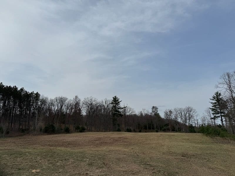 Gallery photos for Sustainable Land Clearing for Chase Michigan Barndominium: Image #3